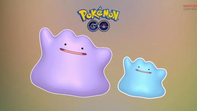 Comparison of normal and shiny Ditto in Pokémon GO, highlighting the rare blue shiny variant trainers can hunt. (Image via The Pokémon Company)