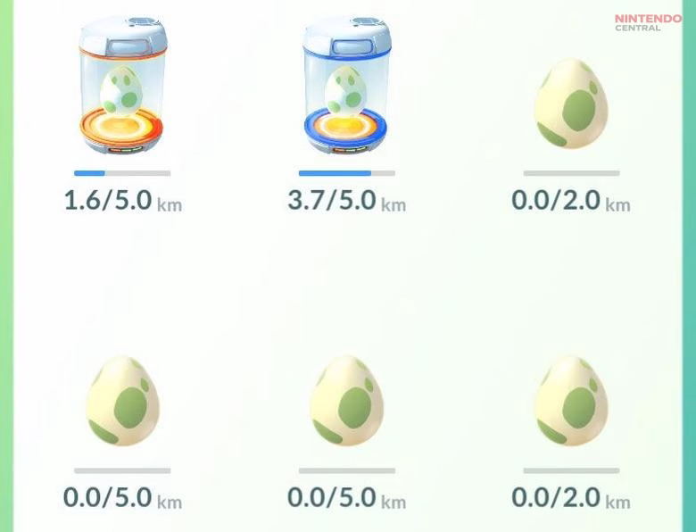 Eggs and incubators