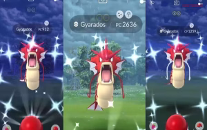 Gyarados occasionally appears in raids in Pokémon GO, where players may have a chance to encounter its shiny form during events. (Image via Niantic)