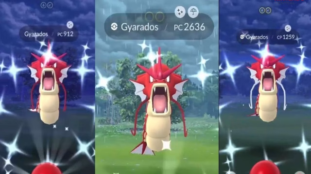 Gyarados occasionally appears in raids in Pokémon GO, where players may have a chance to encounter its shiny form during events. (Image via Niantic)