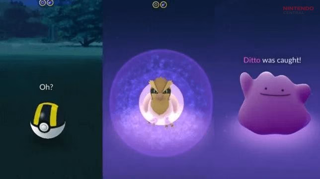 The iconic Ditto transformation screen in Pokémon GO showing the “Oh” animation after catching a disguised Pokémon. (Image via Niantic)