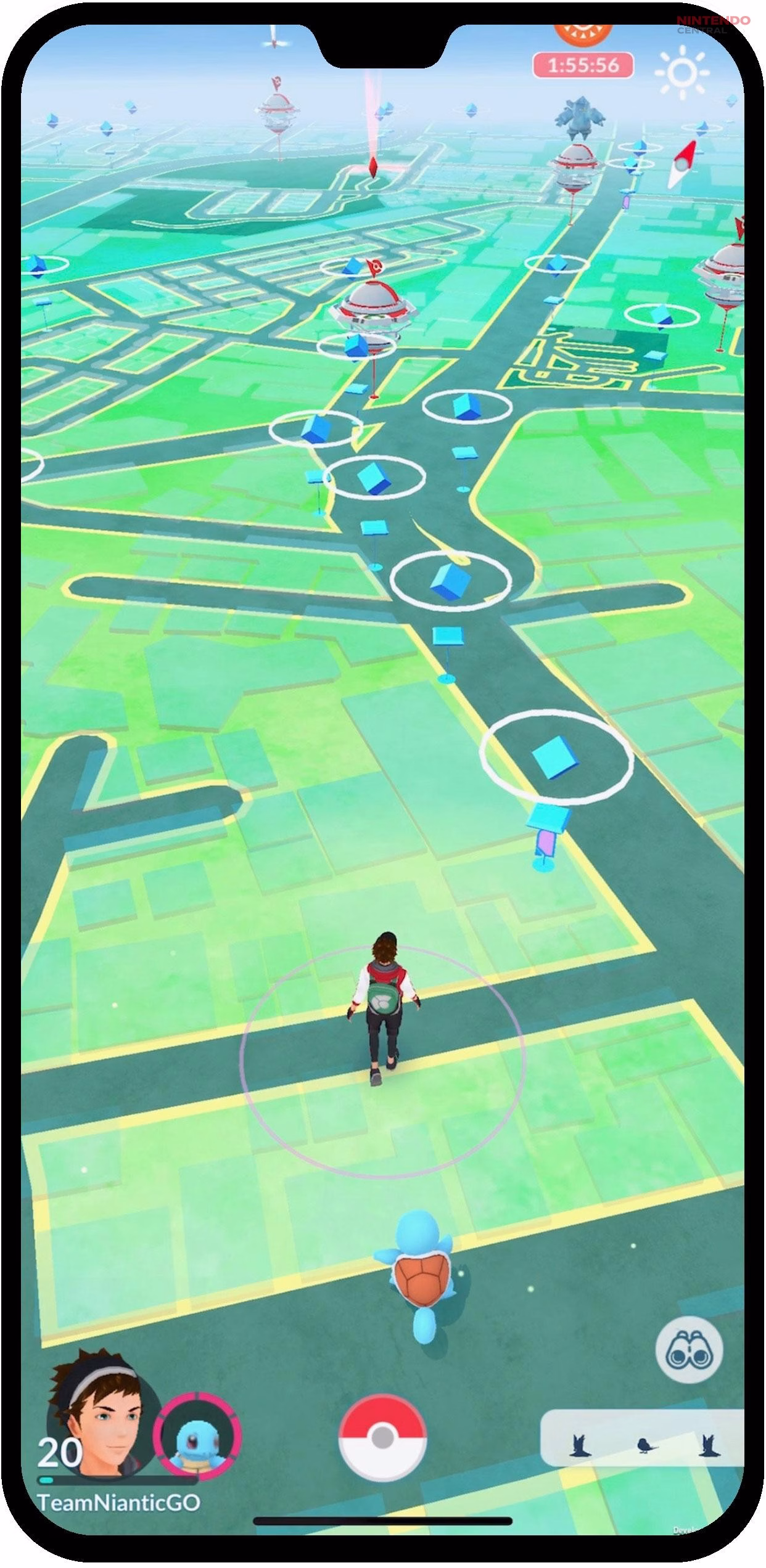 Walking with a Baby Pokémon as a Buddy helps players earn Candy needed for evolution (Image via - Niantic)